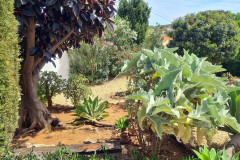HR11588621-12