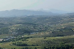 HR11993383-10