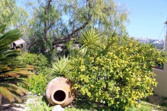 Photo-41